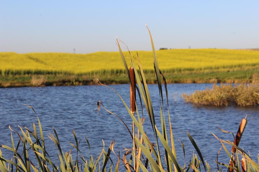 Agro Nad Stawem Villa Zukowo Bagian luar foto