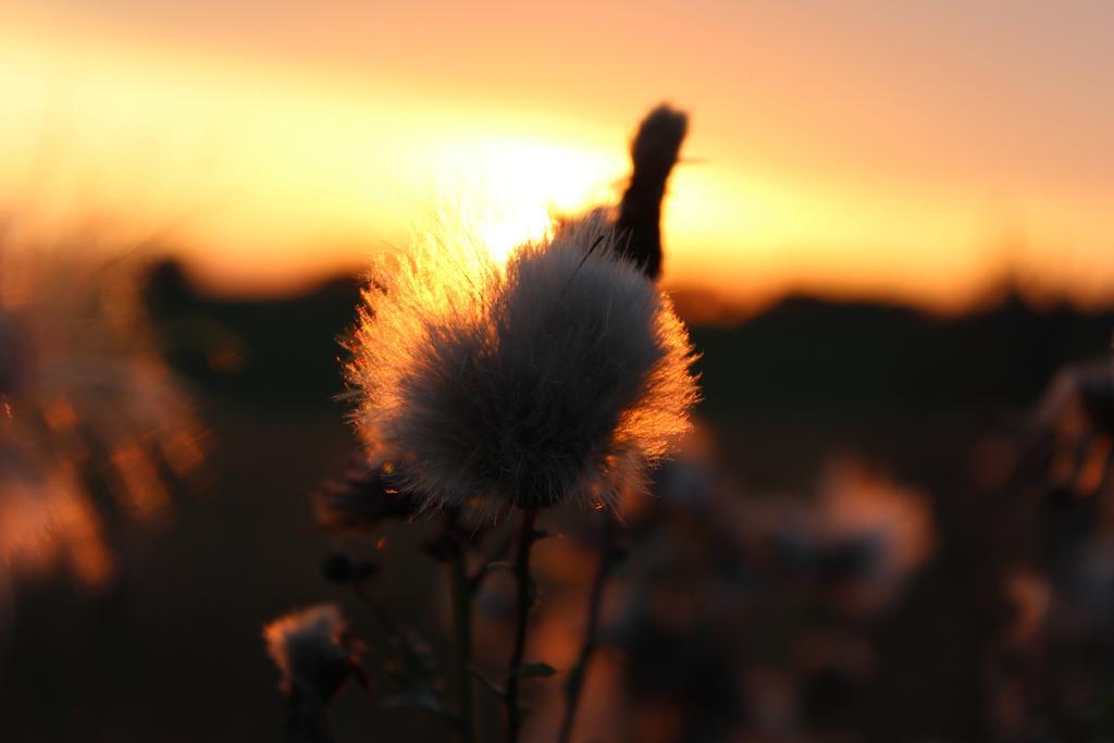 Agro Nad Stawem Villa Zukowo Bagian luar foto